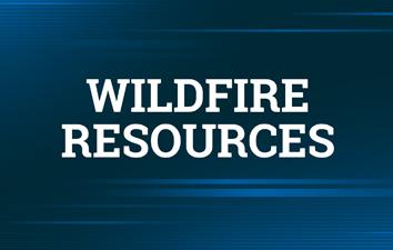 Blue back ground with white text that says, "Wildfire Resources."